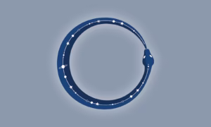 OUROBOROS 