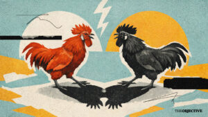 GALLO ROJO GALLO NEGRO 