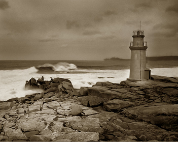 HISTORIA DE UN PERCEBE 